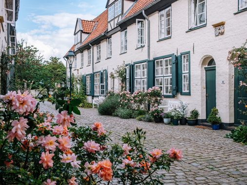Verwunschener Hof in Lübeck. Die Straße ist aus Pflastersteinen und an den Häuserwänden wachsen Rosen